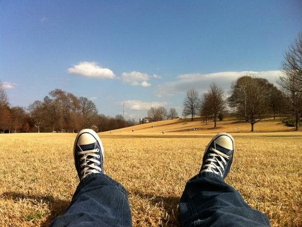 Cremation Services in Camilla, Georgia: Costs, Providers & Options (2026)