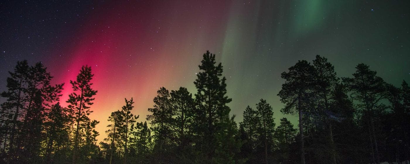 Cremation Services in Castroville, Texas: Costs, Providers & Options (2026) hero image