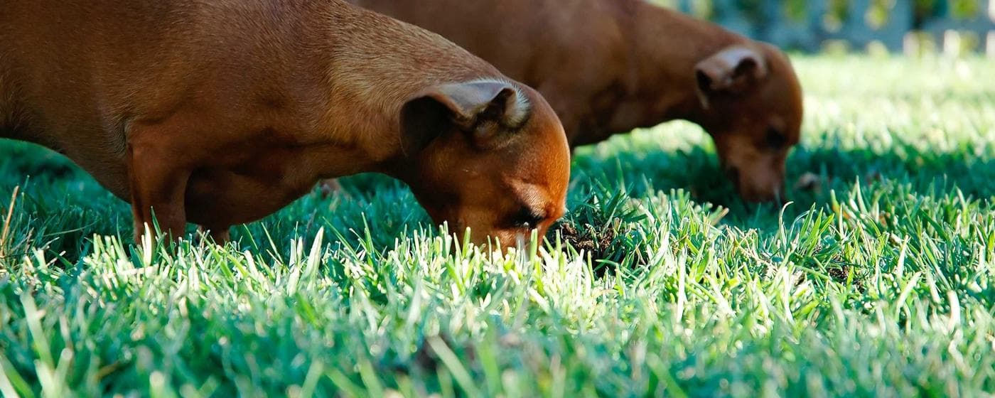 Cremation Services in Celina, Tennessee: Costs, Providers & Options (2026) hero image