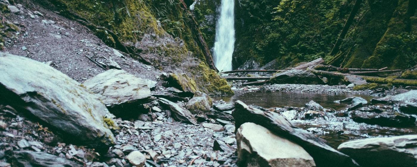 Cremation Services in Center Line, Michigan: Costs, Providers & Options (2026) hero image