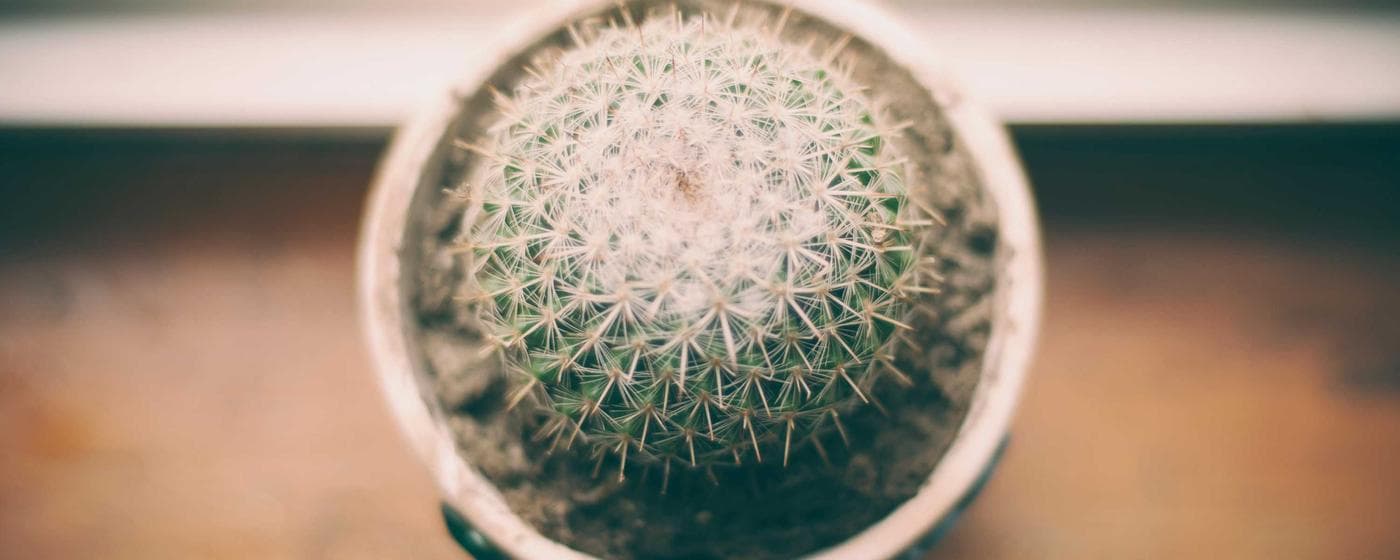 Cremation Services in Clarksville, Tennessee: Costs, Providers & Options (2026) hero image