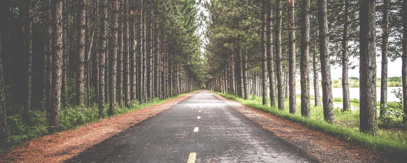 Cremation Services in Clermont, Florida: Costs, Providers & Options (2026) hero image