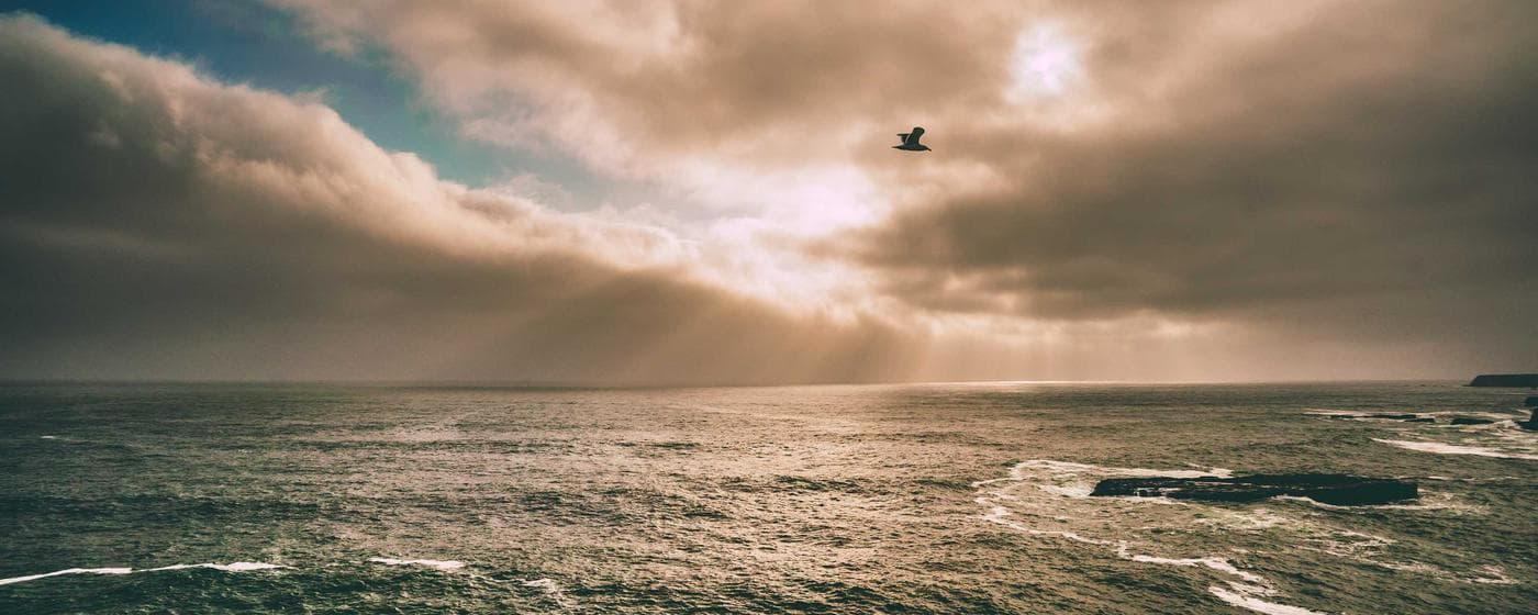 Cremation Services in Coal City, Illinois: Costs, Providers & Options (2026) hero image