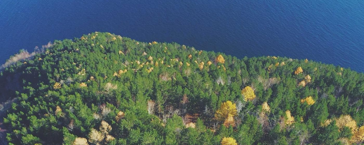 Cremation Services in Dearborn, Michigan: Costs, Providers & Options (2026) hero image