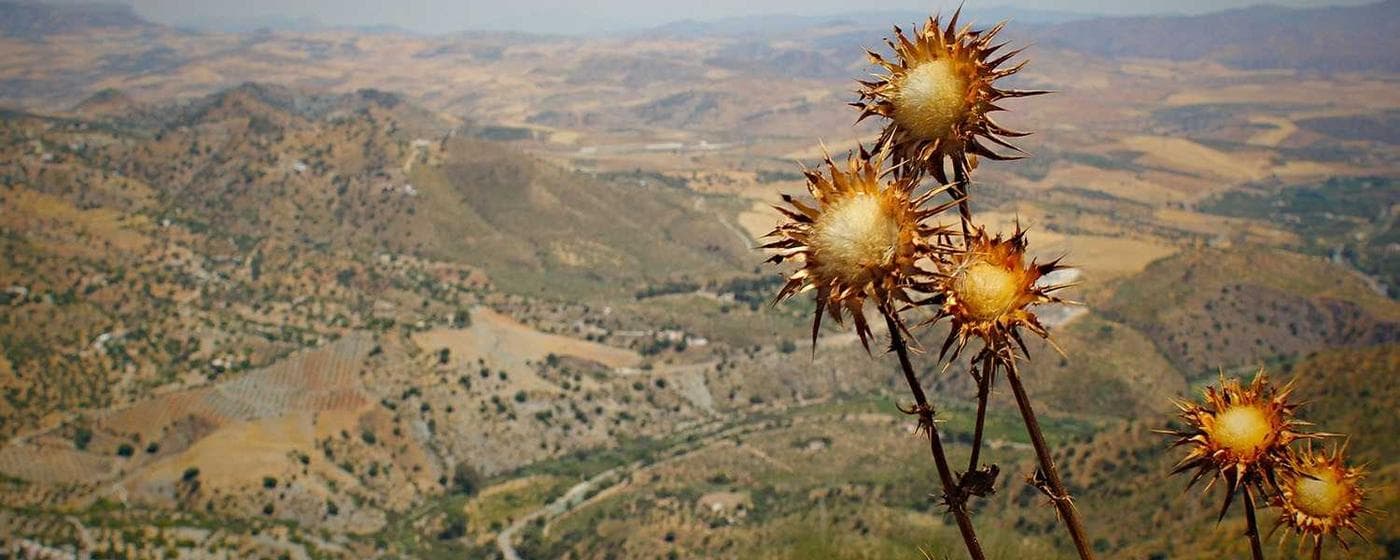 Cremation Services in Del Rio, Texas: Costs, Providers & Options (2026) hero image