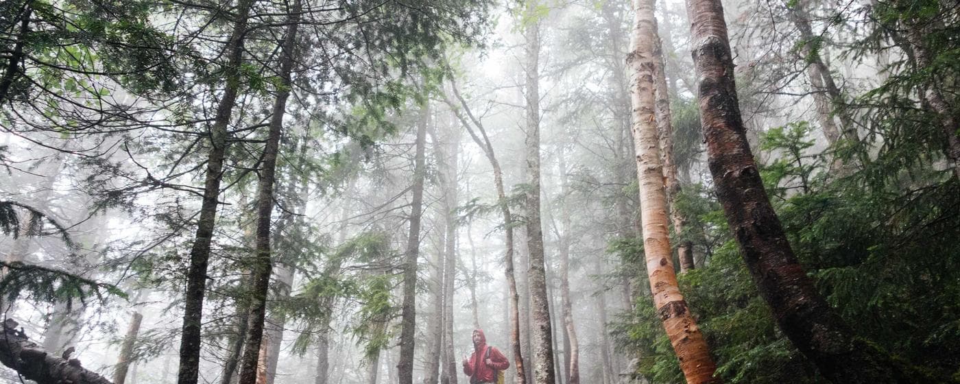 Cremation Services in Downers Grove, Illinois: Costs, Providers & Options (2026) hero image