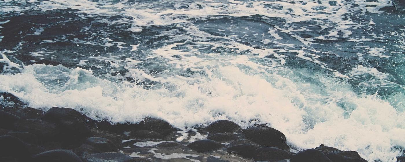 Cremation Services in Dunedin, Florida: Costs, Providers & Options (2026) hero image