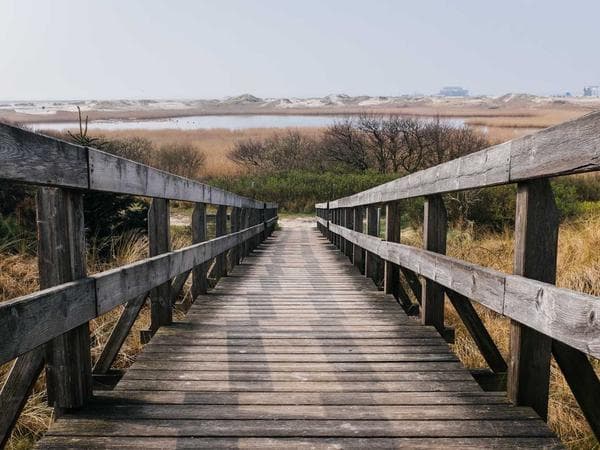 Cremation Services in Eupora, Mississippi: Costs, Providers & Options (2026)