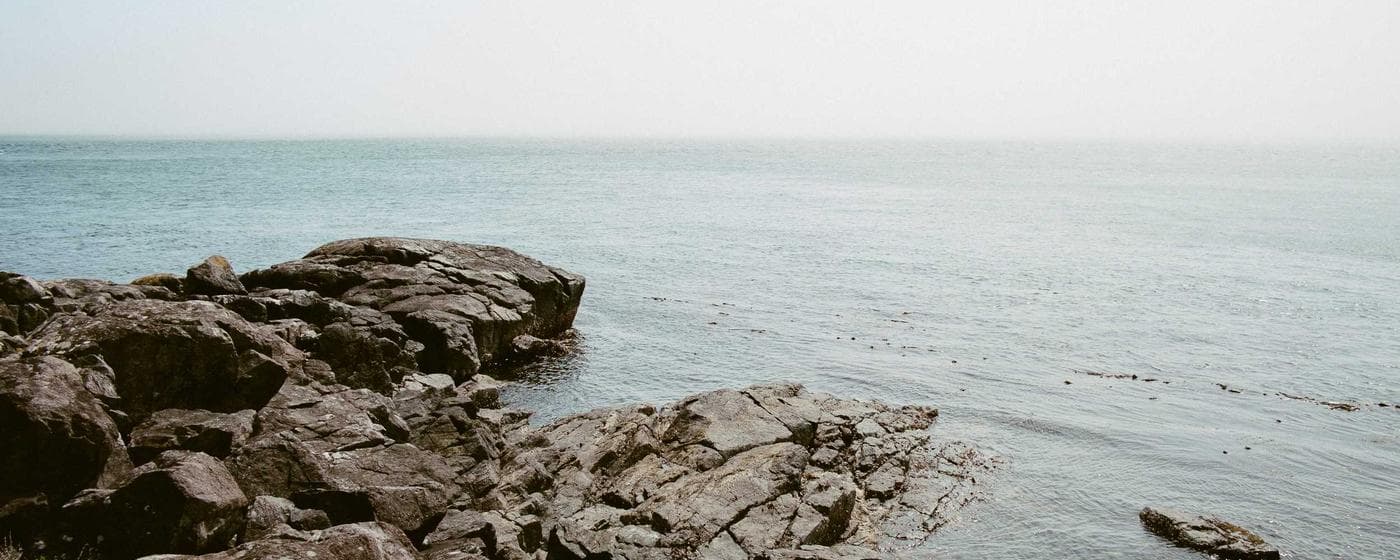 Cremation Services in Flatwoods, Kentucky: Costs, Providers & Options (2026) hero image