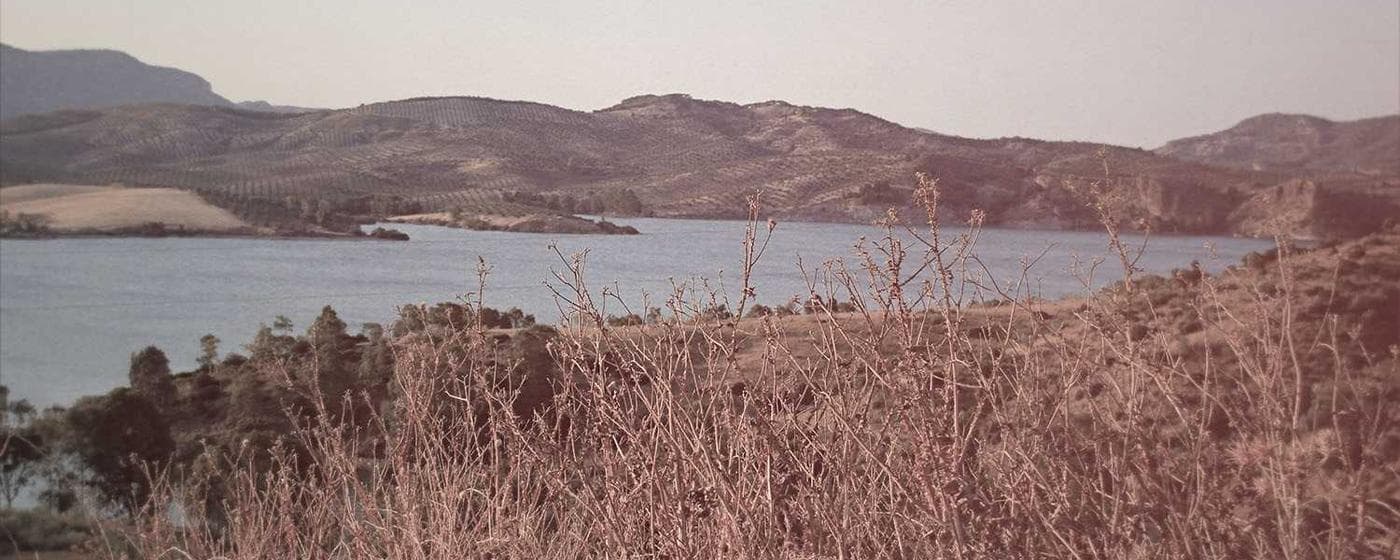 Cremation Services in Fort Collins, Colorado: Costs, Providers & Options (2026) hero image