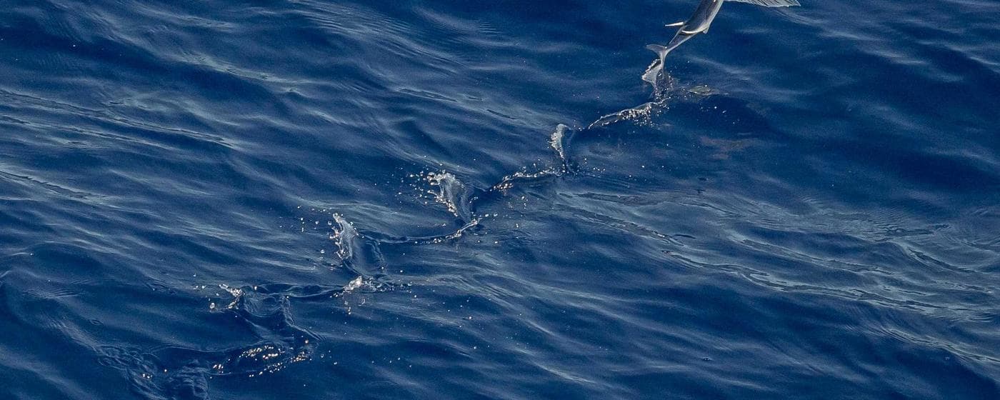 Cremation Services in Fort Worth, Texas: Costs, Providers & Options (2026) hero image