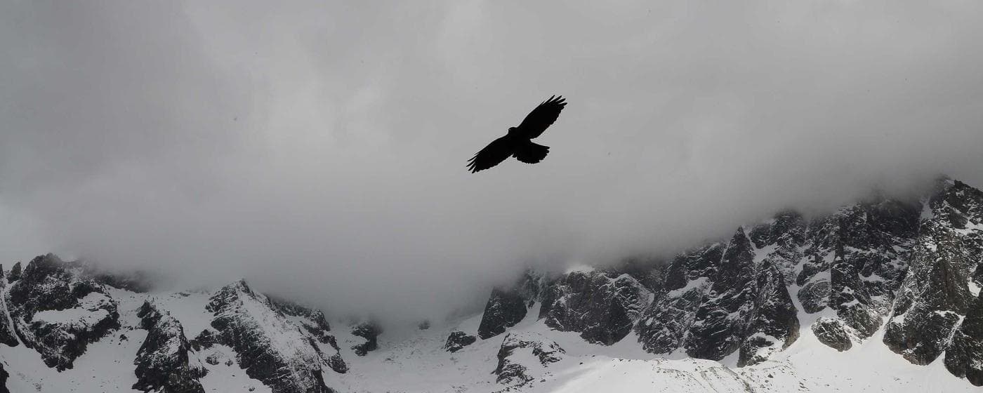 Cremation Services in Fremont, California: Costs, Providers & Options (2026) hero image