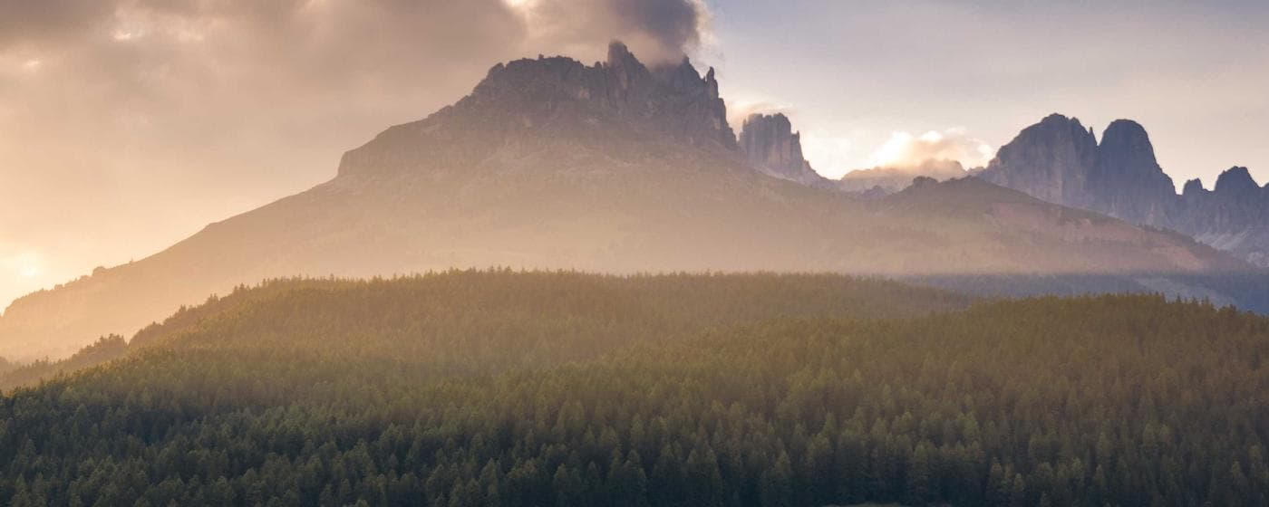 Cremation Services in Gadsden, Alabama: Costs, Providers & Options (2026) hero image