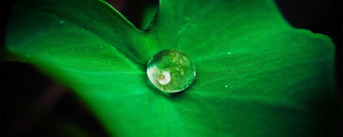 Cremation Services in Gardena, California: Costs, Providers & Options (2026) hero image