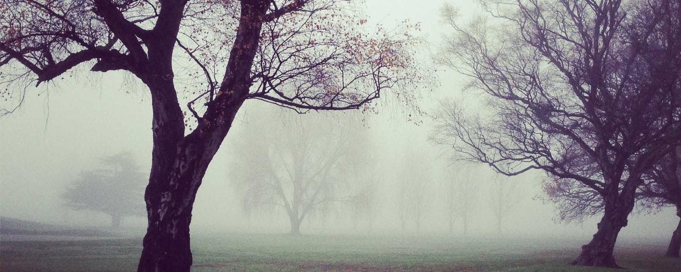 Cremation Services in Houston, Texas: Costs, Providers & Options (2026) hero image