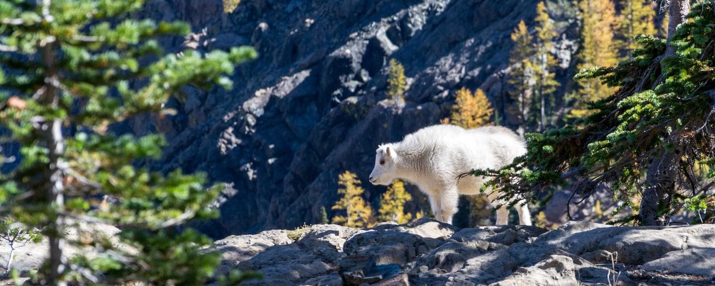 Cremation Services in Lawrenceville, Georgia: Costs, Providers & Options (2026) hero image