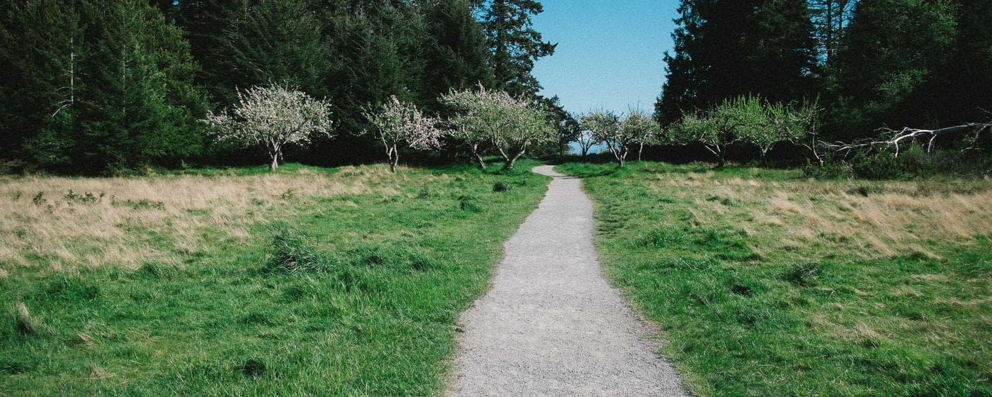 Cremation Services in Los Angeles, California: Costs, Providers & Options (2026) hero image