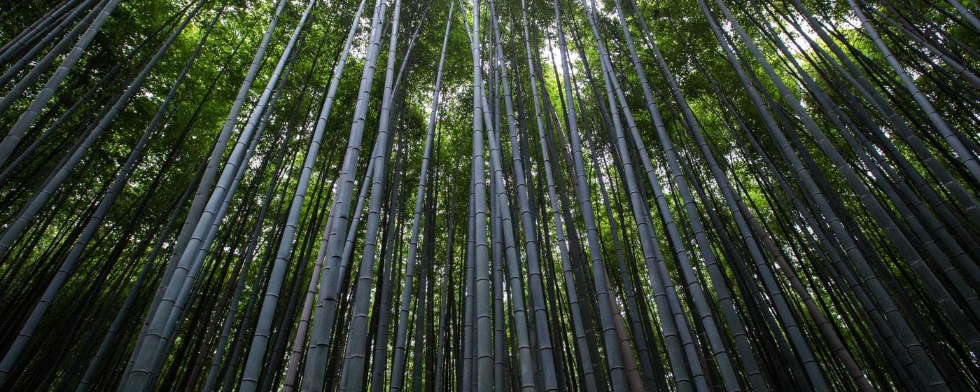 Cremation Services in Louisville, Kentucky: Costs, Providers & Options (2026) hero image