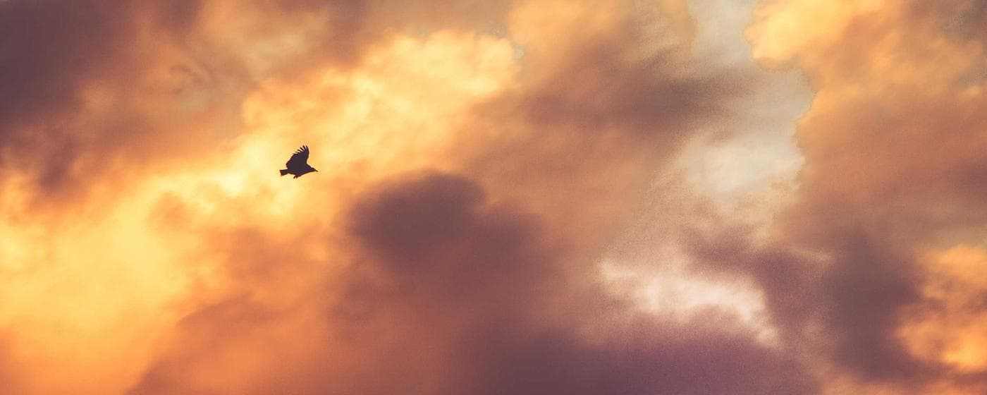 Cremation Services in Lubbock, Texas: Costs, Providers & Options (2026) hero image