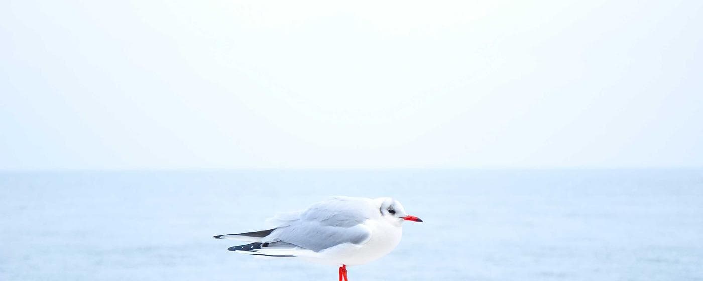 Cremation Services in McKees Rocks, Pennsylvania: Costs, Providers & Options (2026) hero image