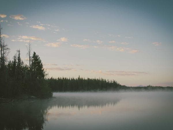 Cremation Services in Middletown, Delaware: Costs, Providers & Options (2026)