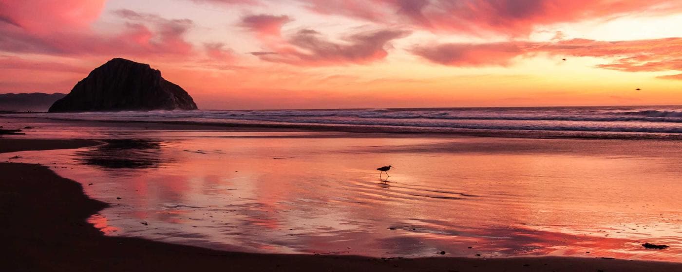 Cremation Services in Midland, Texas: Costs, Providers & Options (2026) hero image