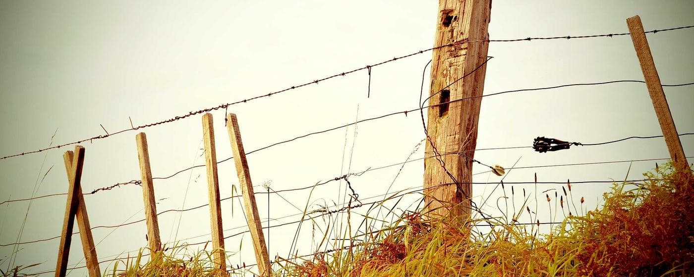 Cremation Services in Mobile, Alabama: Costs, Providers & Options (2026) hero image