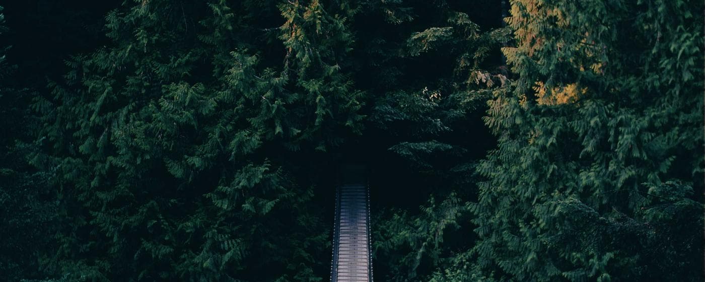 Cremation Services in New Berlin, Wisconsin: Costs, Providers & Options (2026) hero image