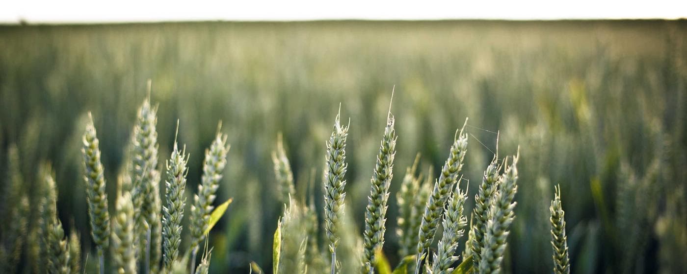 Cremation Services in New Haven, Connecticut: Costs, Providers & Options (2026) hero image