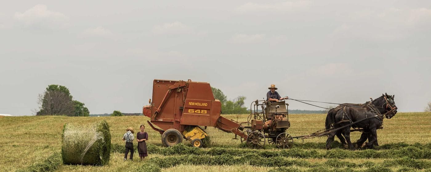 Cremation Services in North Olmsted, Ohio: Costs, Providers & Options (2026) hero image