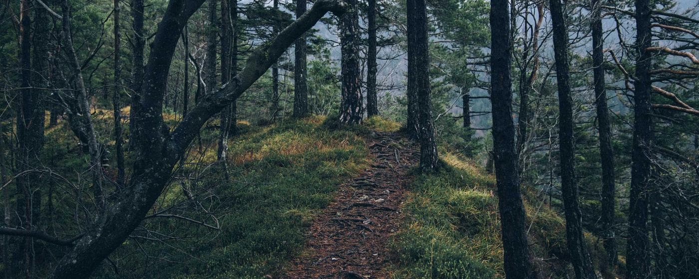 Cremation Services in North Vernon, Indiana: Costs, Providers & Options (2026) hero image