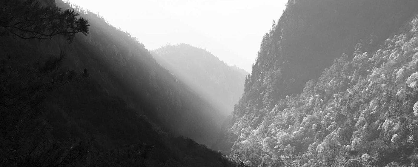 Cremation Services in Norwood, North Carolina: Costs, Providers & Options (2026) hero image