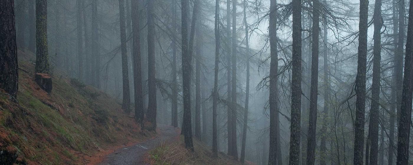 Cremation Services in Ontario, Oregon: Costs, Providers & Options (2026) hero image