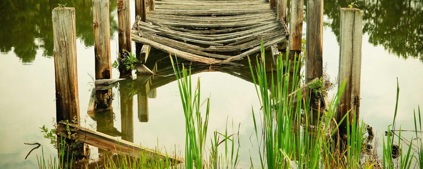 Cremation Services in Palm Bay, Florida: Costs, Providers & Options (2026) hero image