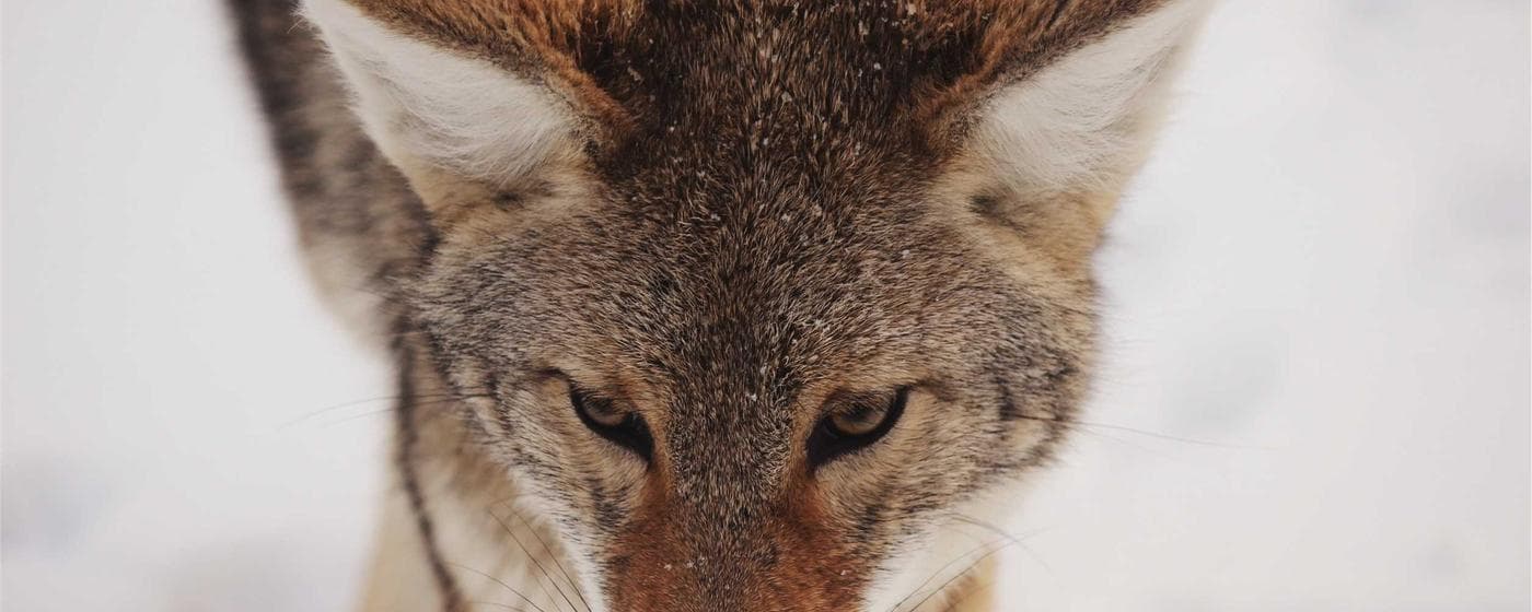 Cremation Services in Philadelphia, Pennsylvania: Costs, Providers & Options (2026) hero image