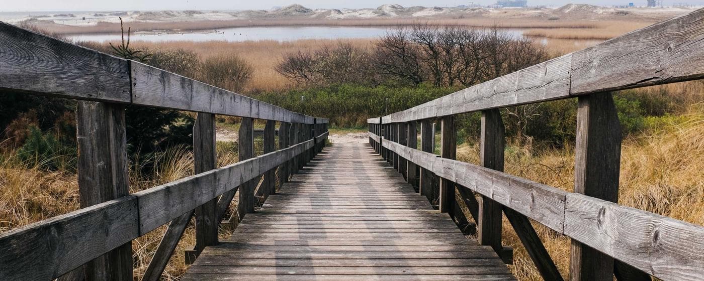 Cremation Services in Pompano Beach, Florida: Costs, Providers & Options (2026) hero image