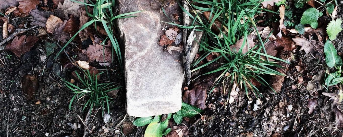 Cremation Services in Redondo Beach, California: Costs, Providers & Options (2026) hero image