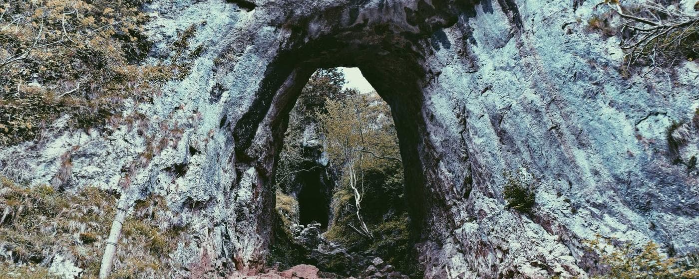 Cremation Services in Rome, Georgia: Costs, Providers & Options (2026) hero image