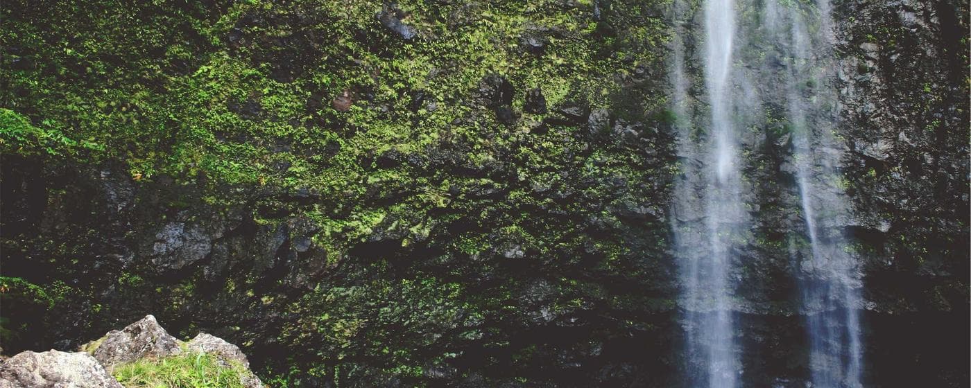 Cremation Services in Santa Maria, California: Costs, Providers & Options (2026) hero image