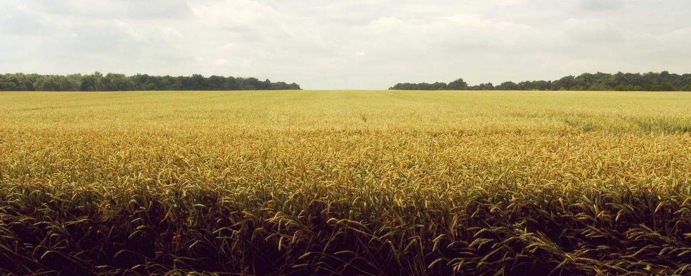 Cremation Services in Savannah, Georgia: Costs, Providers & Options (2026) hero image