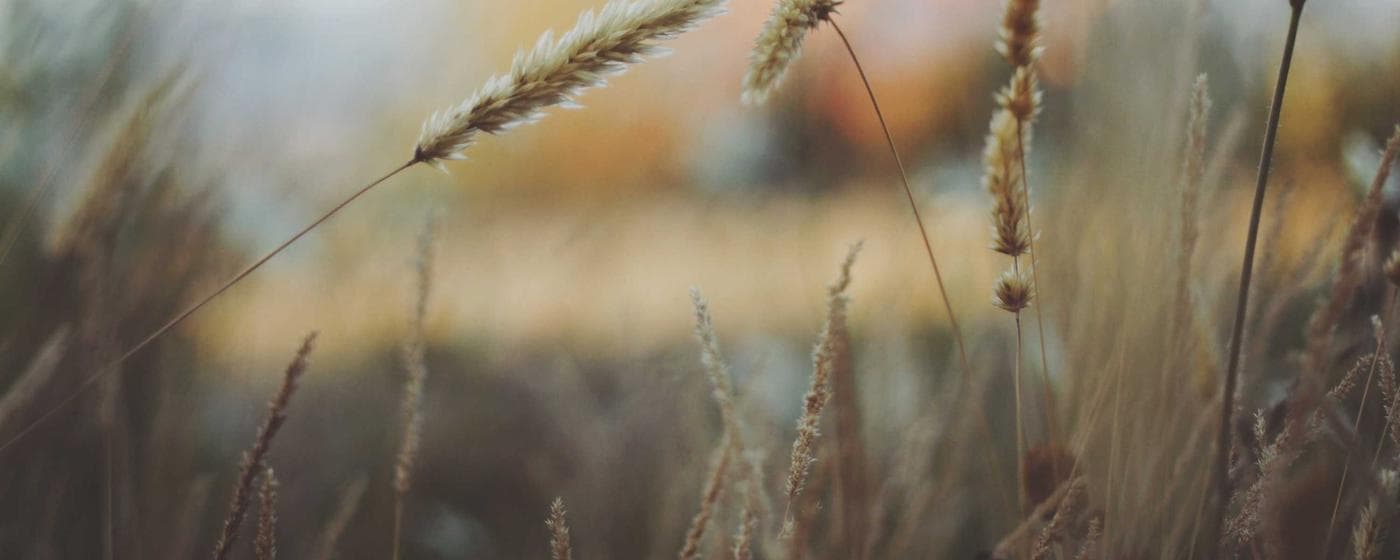 Cremation Services in State College, Pennsylvania: Costs, Providers & Options (2026) hero image