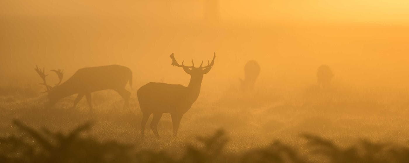 Cremation Services in Suite 1, Florida: Costs, Providers & Options (2026) hero image