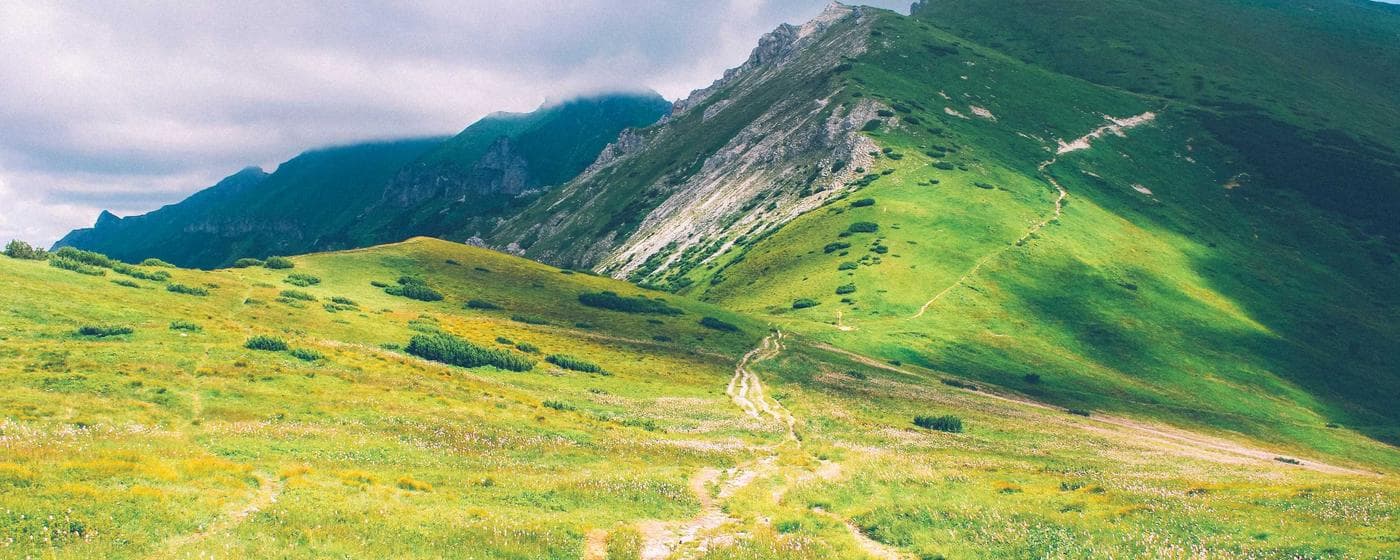 Cremation Services in Taylor, Michigan: Costs, Providers & Options (2026) hero image