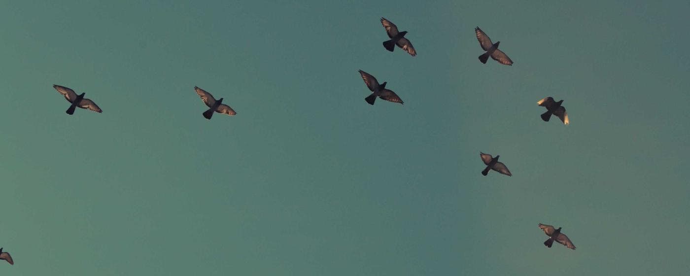 Cremation Services in Taylorville, Illinois: Costs, Providers & Options (2026) hero image