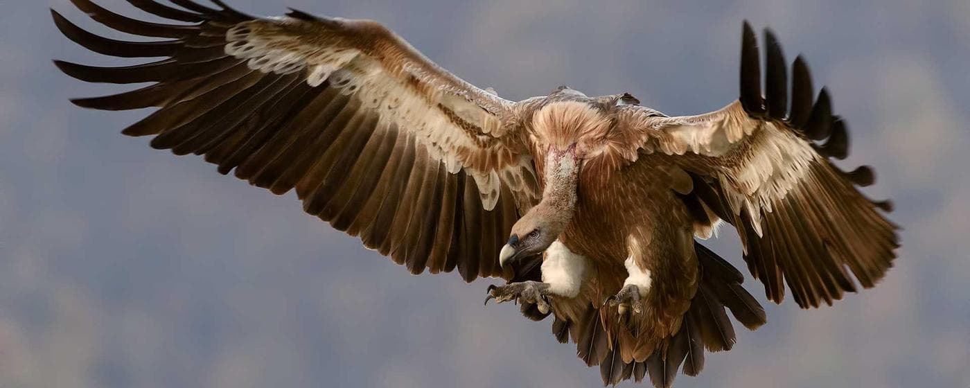 Cremation Services in Temple, Pennsylvania: Costs, Providers & Options (2026) hero image