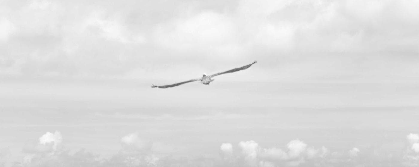 Cremation Services in Thibodaux, Louisiana: Costs, Providers & Options (2026) hero image