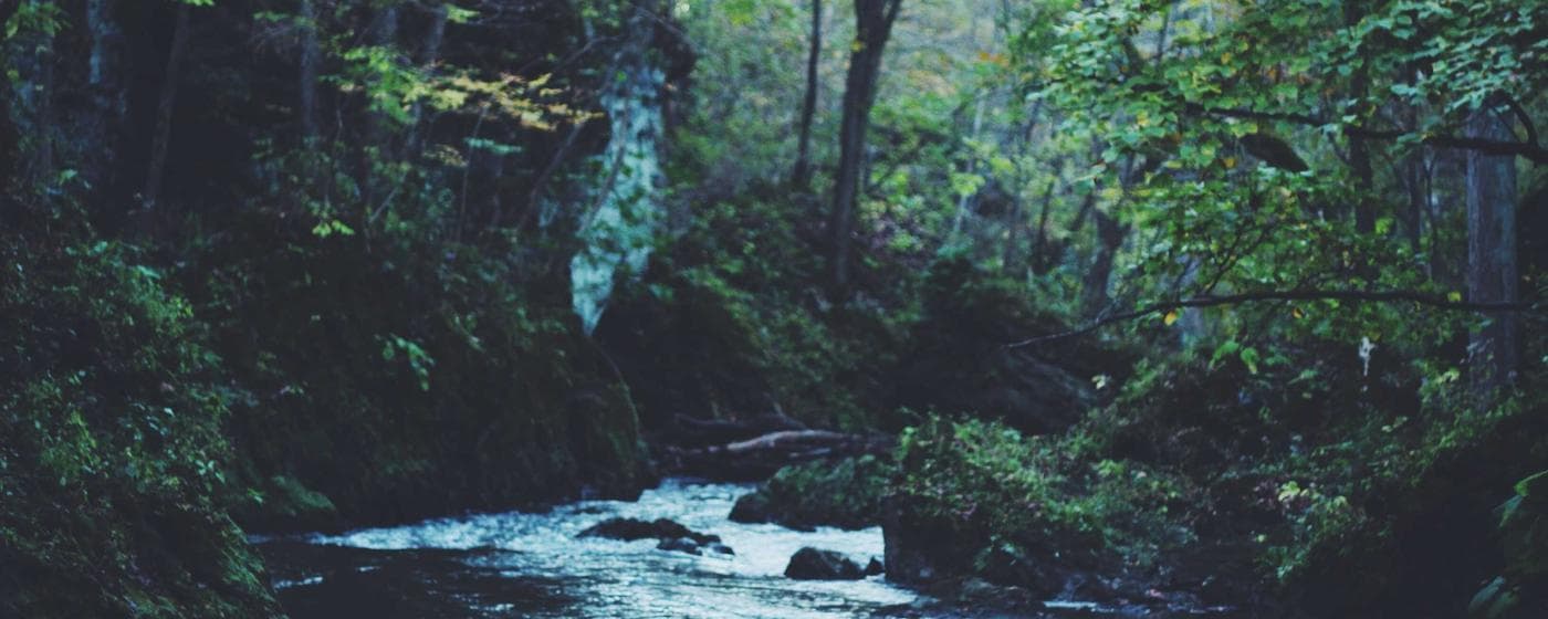 Cremation Services in Traverse City, Michigan: Costs, Providers & Options (2026) hero image