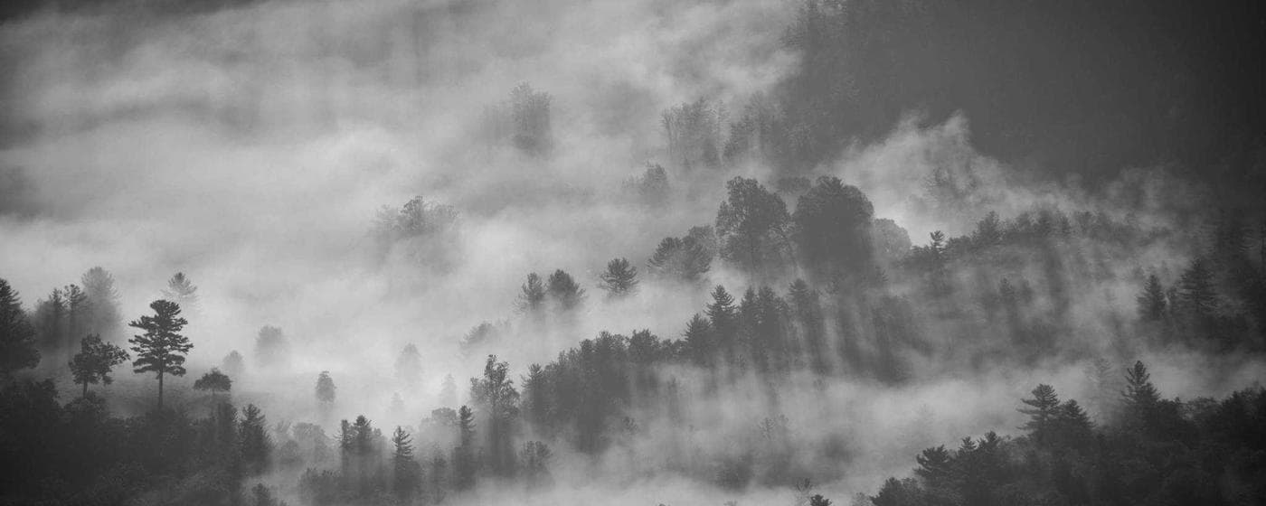 Cremation Services in Urbana, Ohio: Costs, Providers & Options (2026) hero image