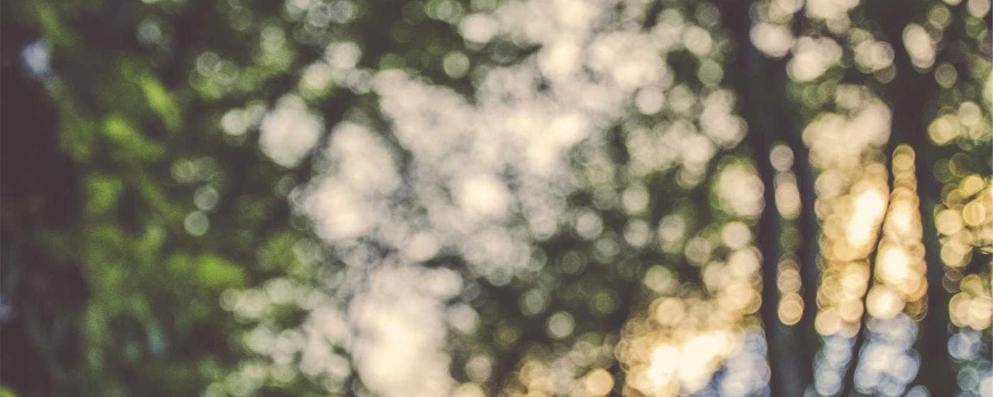 Cremation Services in Washington, District of Columbia: Costs, Providers & Options (2026) hero image