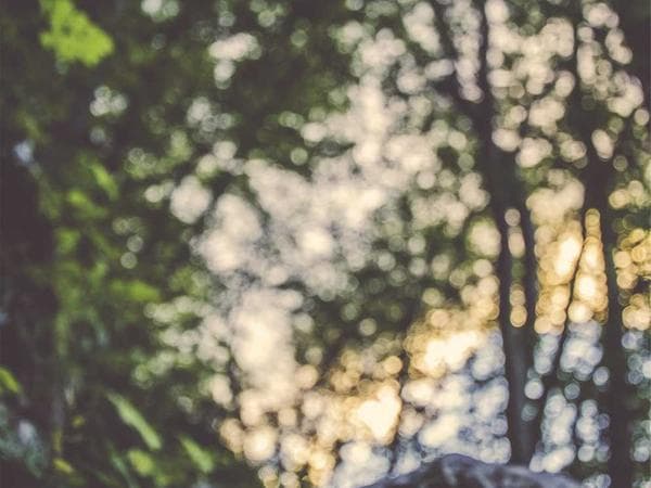 Cremation Services in Washington, District of Columbia: Costs, Providers & Options (2026)